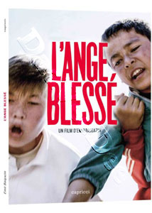 The Wounded Angel (DVD)